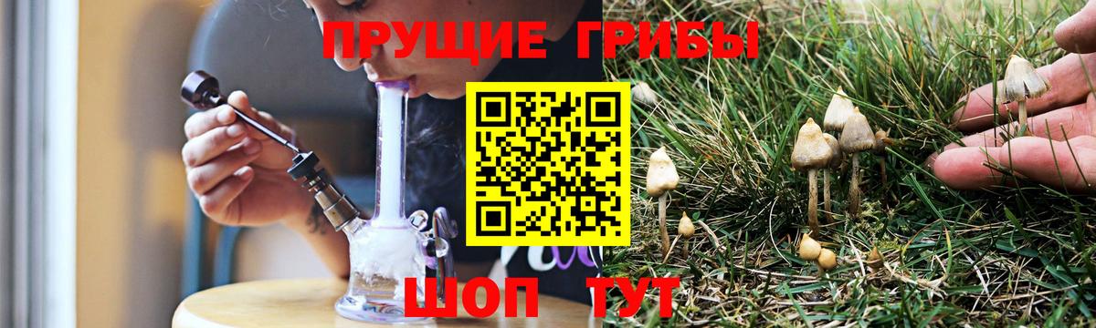 Псилоцибиновые грибы Magic Shrooms Хасавюрт